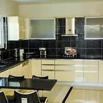 Hot Tub-fireplace-pets-sleeps 11-bbq-pool-parking ダルヤン