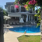 Hot Tub-fireplace-pets-sleeps 11-bbq-pool-parking * ダルヤン