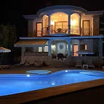 Hot Tub-fireplace-pets-sleeps 11-bbq-pool-parking * ダルヤン